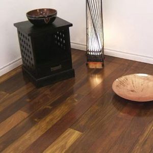 Plant water Sucupira 17-18cm