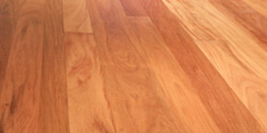 Teak Wood